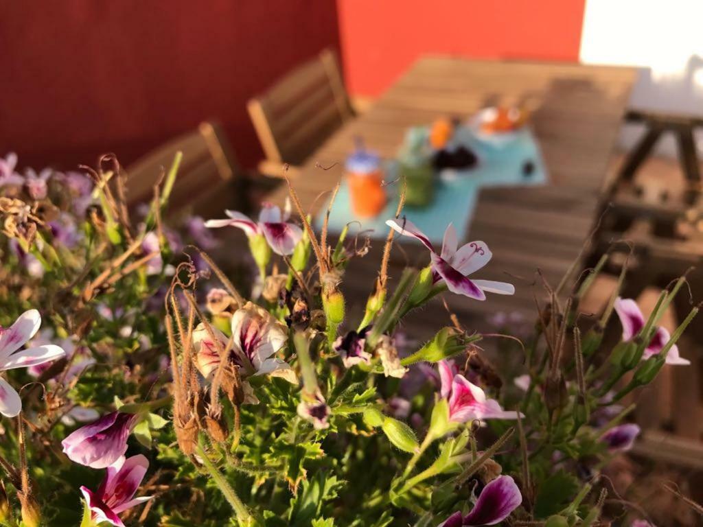 Tammitu Hotel Ragusa Bagian luar foto